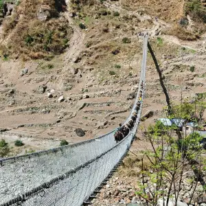 Suspension bridge 