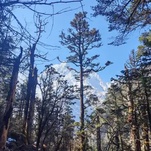 Leaving Bhimthang