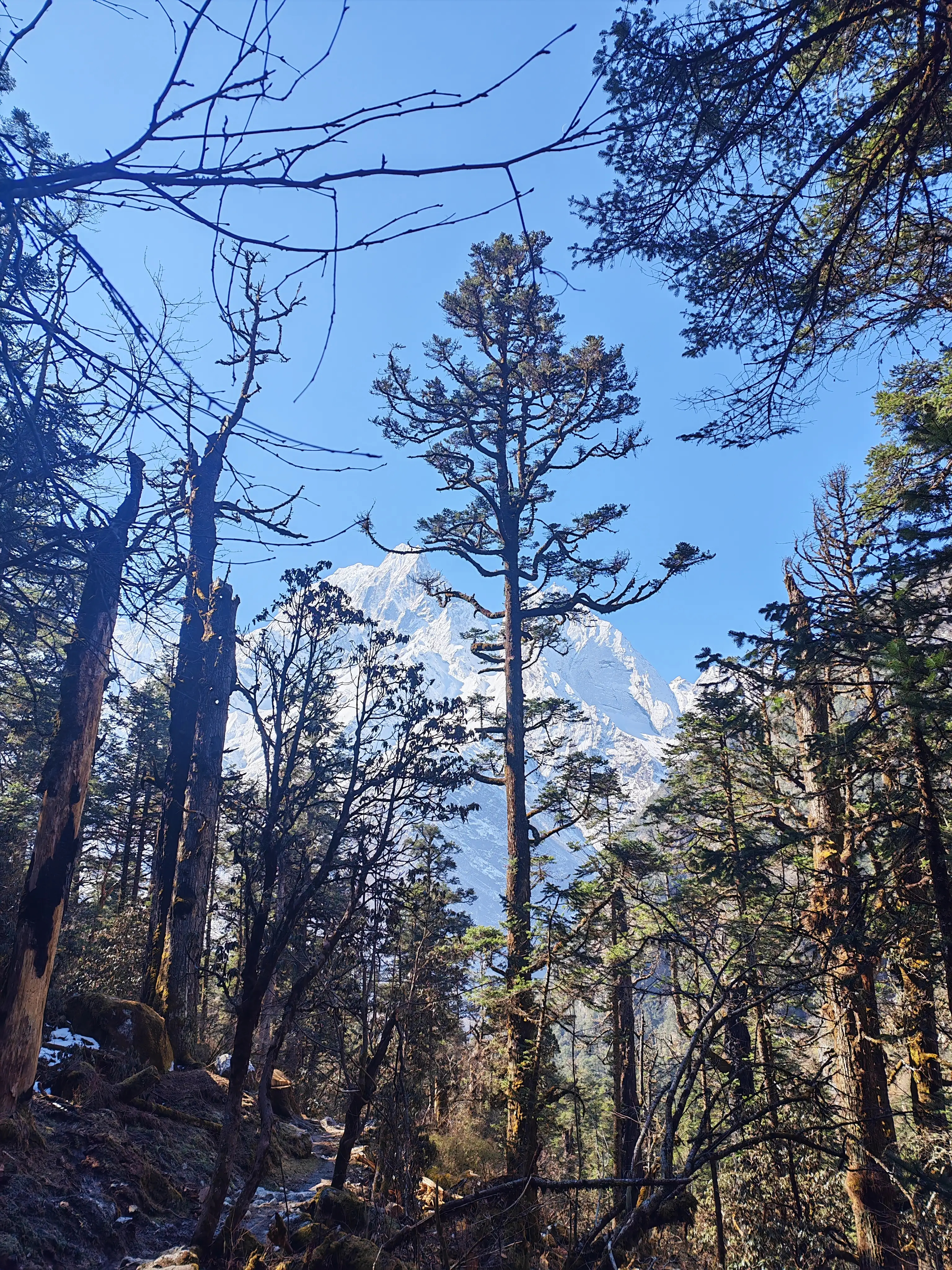Leaving Bhimthang